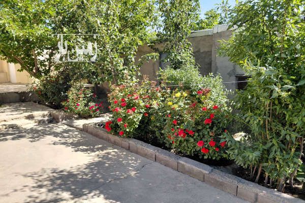 باغ ویلایی و میوه زار با درختان جوان ۱۵۰۰ متر محسن آباد سنگستان-4
