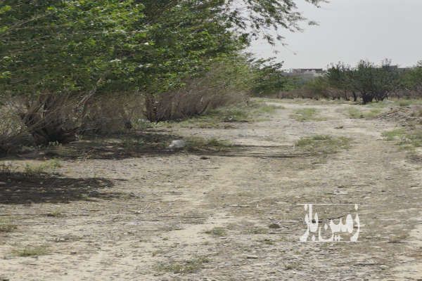 همدانک شهرک هشت بهشت قطعه ۵۰۰ متری-1