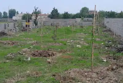 فروش باغ ۵۳۲ متر الحاق به بافت بابر۱۴متر
