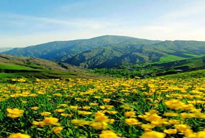 فروش زمین در اغشت کوچه چالقه ۳۰۰۰ متر