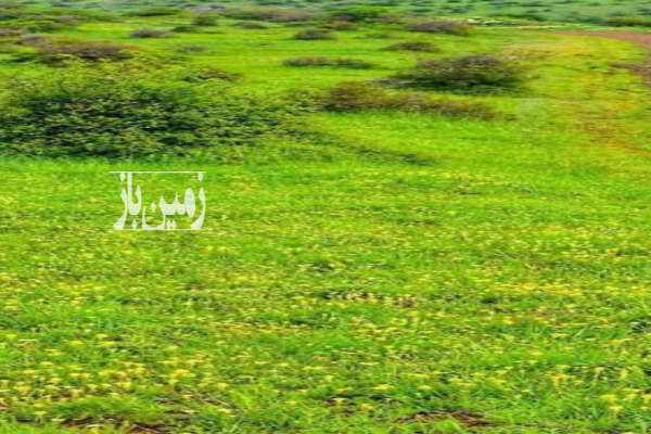 زمین با چشم انداز زیبا رودبار خورگام روستای بره سر ۵۰۰ متر-1