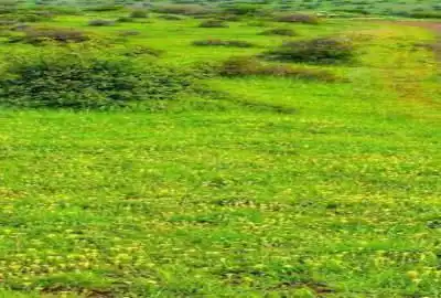 زمین با چشم انداز زیبا رودبار خورگام روستای بره سر ۵۰۰ متر