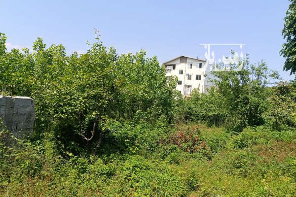 زمین ۳۶۳متر ثبتی مسکونی مابقی عادی باغ چنار-3