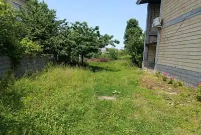 زمین ۳۶۳متر ثبتی مسکونی مابقی عادی باغ چنار