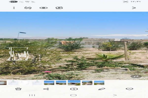 زمین کشاورزی ویلایی قرچک گلتپه کبیر ۳۰۰ متر-3