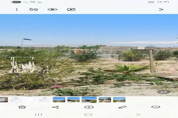 زمین کشاورزی ویلایی قرچک گلتپه کبیر ۳۰۰ متر - تصویر 3