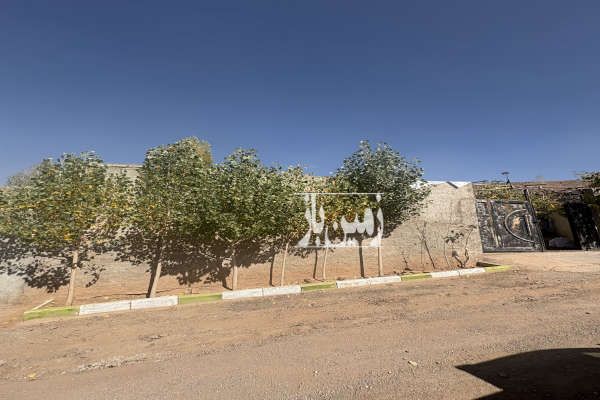 فروش زمین در لواسان بزرگ روستای دانا خیابان گلستان ۲۶۵ متر-4