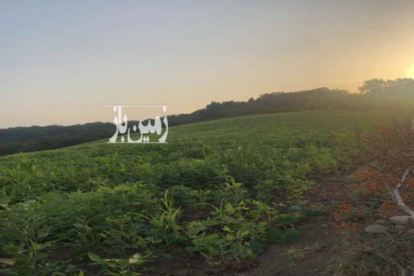 زمین با ویو ابدی با سند مالکیت در ساری ۲۵۰۰۰ متر-1