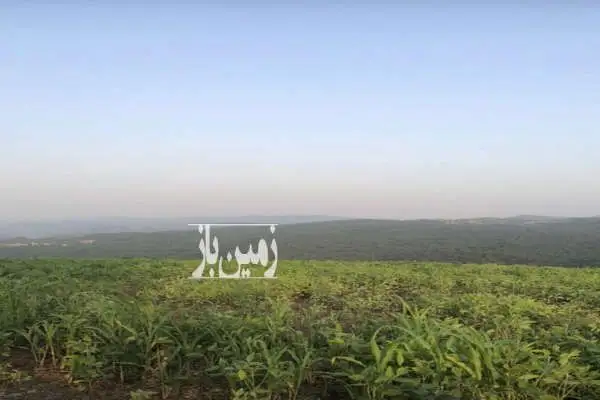 زمین با ویو ابدی با سند مالکیت در ساری ۲۵۰۰۰ متر - تصویر 2
