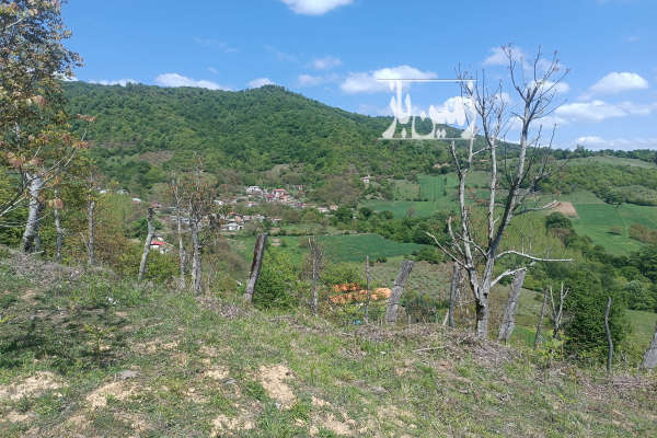زمین مسکونی چهاردانگه روستای وناجم ۲۰۰ متر-3