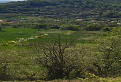 زمین مسکونی چهاردانگه روستای وناجم ۲۰۰ متر