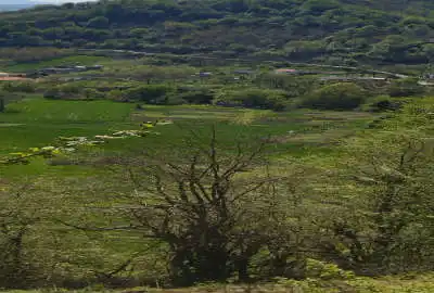 زمین مسکونی چهاردانگه روستای وناجم ۲۰۰ متر