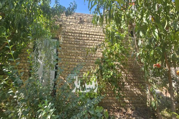 زمین برای ساخت و ساز و باغداری ۳۸۱ متر-3