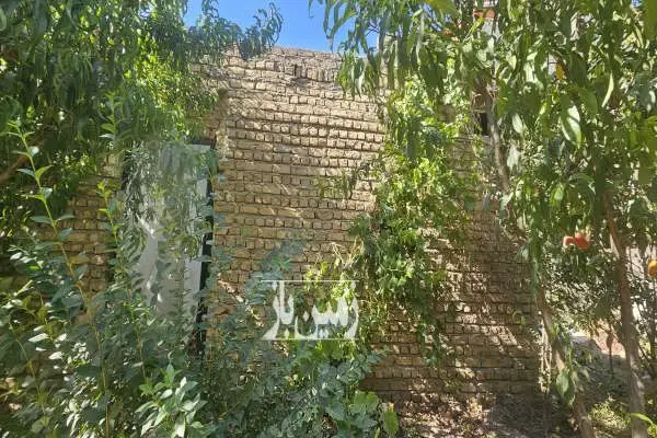 زمین برای ساخت و ساز و باغداری ۳۸۱ متر - تصویر 3