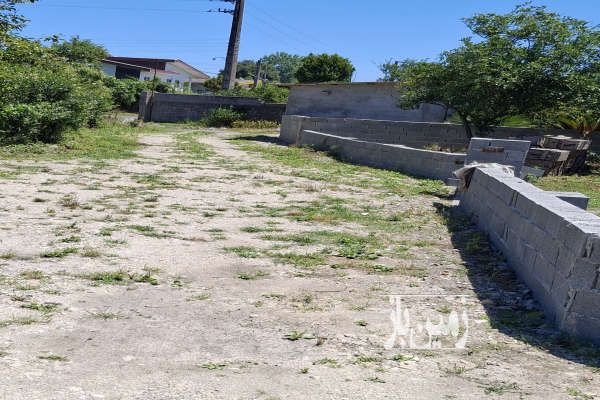 باغچه تنکابن پسکلایه بزرگ روستای پلهم دشت ۳۵۰ متر-1