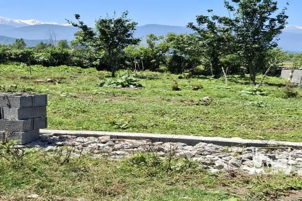 باغچه تنکابن پسکلایه بزرگ روستای پلهم دشت ۳۵۰ متر - تصویر 3