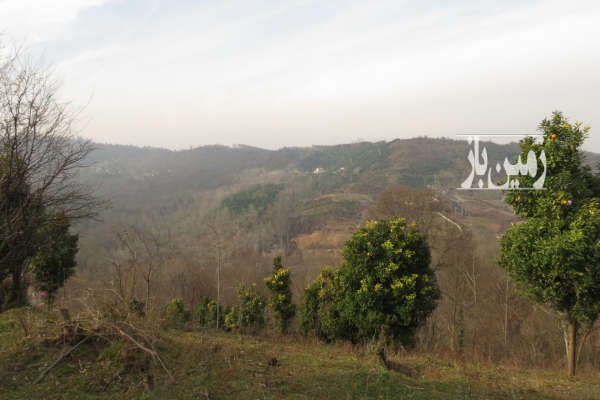 فروش زمین واقع در منطقه بابلکنار روستای امیرکلا ۱۳۰۰۰ متر-4