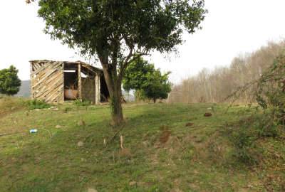 فروش زمین واقع در منطقه بابلکنار روستای امیرکلا ۱۳۰۰۰ متر