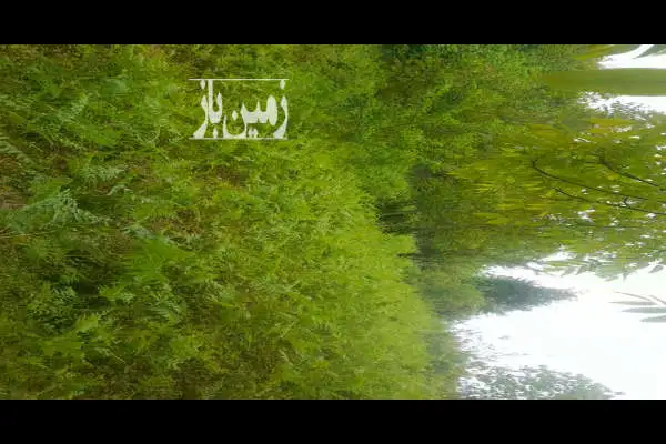 فروش زمین باغی و کشاورزی شیرگاه روستای اندارگلی ۴۰۰۰ متر - تصویر 2