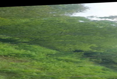 فروش زمین باغی و کشاورزی شیرگاه روستای اندارگلی ۴۰۰۰ متر