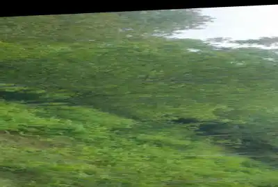 فروش زمین باغی و کشاورزی شیرگاه روستای اندارگلی ۴۰۰۰ متر