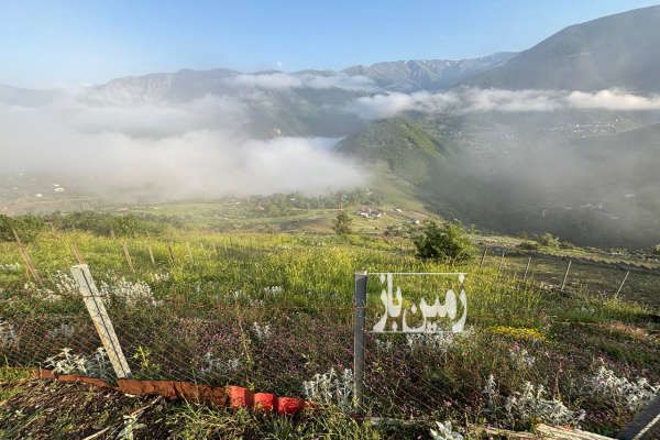 فروش زمین در ییلاق ایزکی دالخانی رامسر ۲۵۰ متر-1
