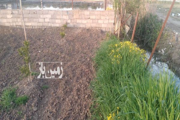 زمین مازندران قائمشهر کوچکسرا روستای زیلت ۶۳۶ متر-1