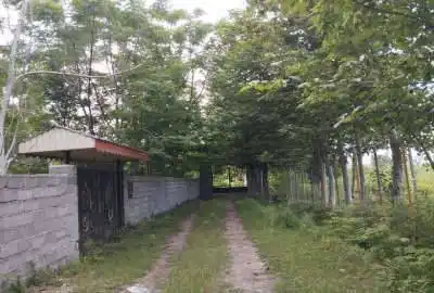 فروش زمین مسکونی و باغی اطراف شهر سنگر گیلان ۳۴۰۰۰ متر