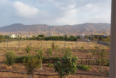 زمین کشاورزی جاده قدیم ساوه همدان دشت کتیرآباد ۵۰۰ متر