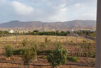 زمین کشاورزی جاده قدیم ساوه همدان دشت کتیرآباد ۵۰۰ متر