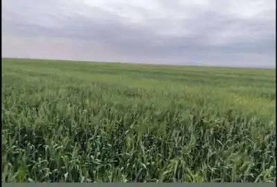 فروش زمین کشاورزی با سهمیه آب ۷۸۰۰۰ متر