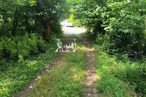 فروش ۲۸۸ متر زمین مسکونی چابکسر دهستان سیاهکلرود-4