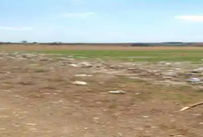 زمین کشاورزی قابل تبدیل به دامداری و گلخانه ۲۵۲۰۰ متر