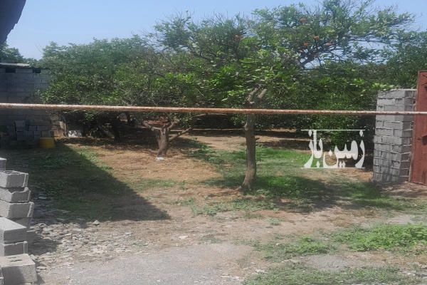 یک زمین باغ جاده گتاب روستای پایین سرست ۲۵۰ متر-1