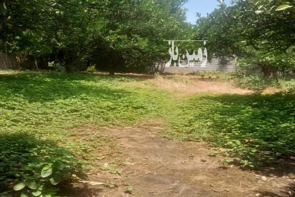 یک زمین باغ جاده گتاب روستای پایین سرست ۲۵۰ متر-2