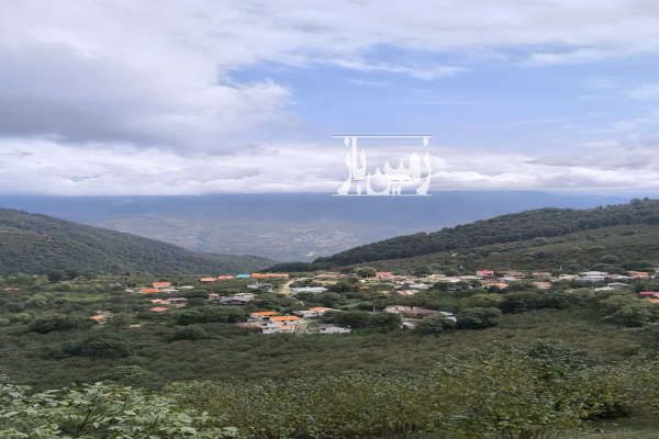 زمین اشکورات رودسر دهستان زیاز روستای مازی بن ۱۲۰۰ متر-2