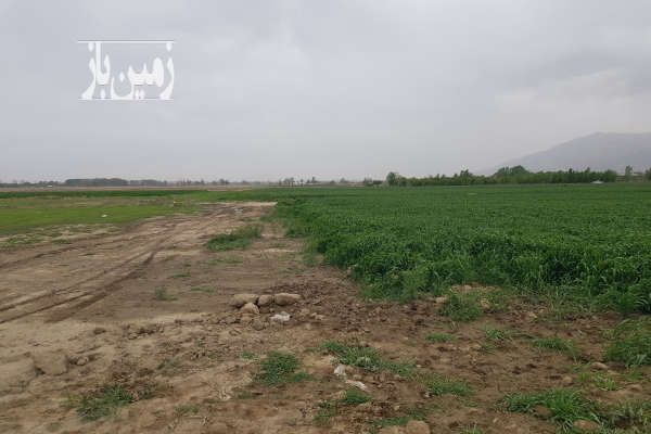 زمین در زرنان سند تک برگ ۴۷۵ متر-1