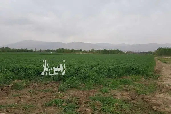 زمین در زرنان سند تک برگ ۴۷۵ متر - تصویر 2