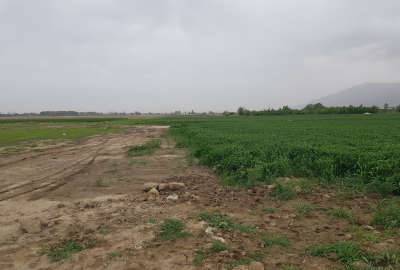 زمین در زرنان سند تک برگ ۴۷۵ متر