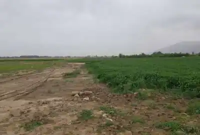 زمین در زرنان سند تک برگ ۴۷۵ متر