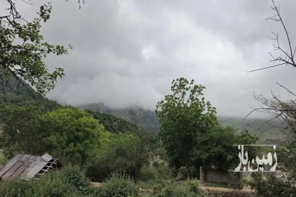 فروش اولین پلاک بر جاده روستای شیردره زیرآب ۳۷۵ متر - تصویر 4