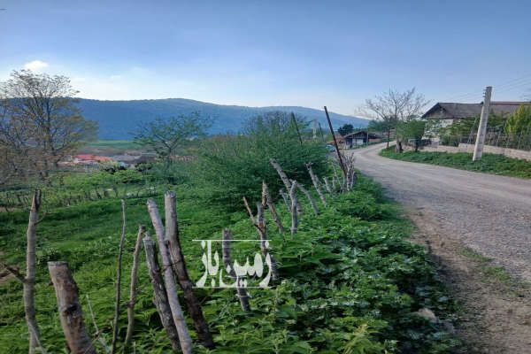 فروش زمین مسکونی روستای ازنی توابع کیاسر ۳۰۰ متر-1