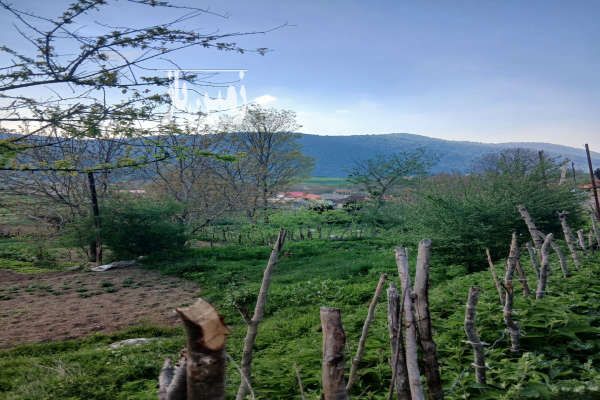 فروش زمین مسکونی روستای ازنی توابع کیاسر ۳۰۰ متر-2