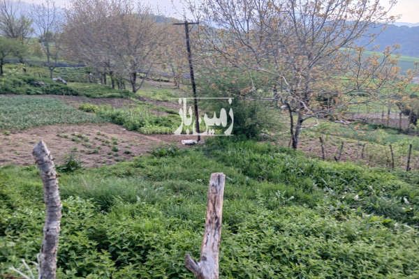 فروش زمین مسکونی روستای ازنی توابع کیاسر ۳۰۰ متر-3