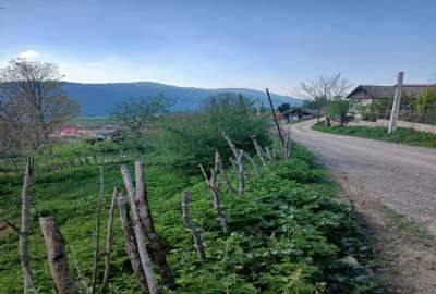 فروش زمین مسکونی روستای ازنی توابع کیاسر ۳۰۰ متر