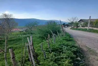 فروش زمین مسکونی روستای ازنی توابع کیاسر ۳۰۰ متر