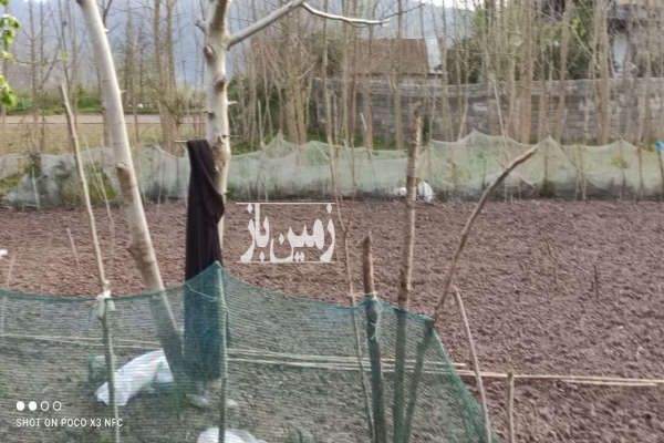 زمین با کاربری مسکونی روستای نالکیاشر ۳۸۸ متر-3