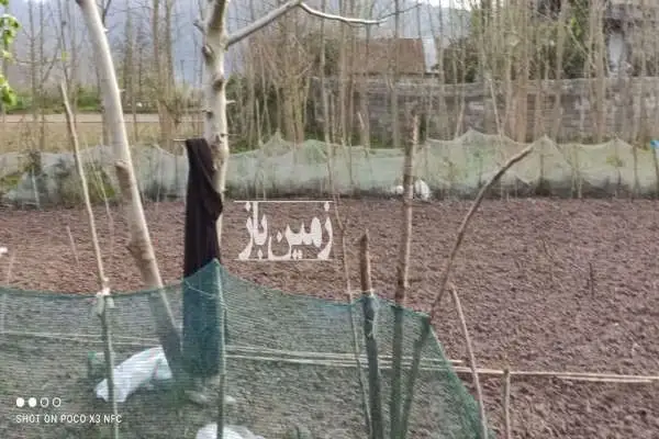 زمین با کاربری مسکونی روستای نالکیاشر ۳۸۸ متر - تصویر 3