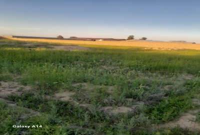 زمین فروشی در روستای تپه سلام ۱۰۲ متر