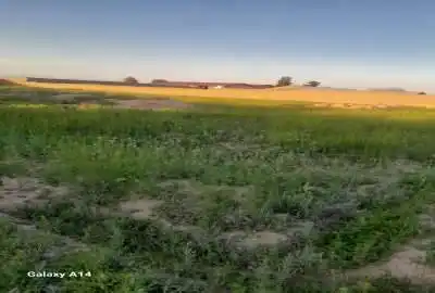 زمین فروشی در روستای تپه سلام ۱۰۲ متر